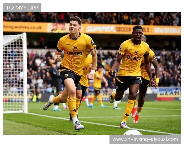 控股英超球队：英超球队的股东与控制权