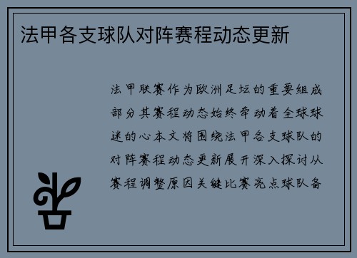 法甲各支球队对阵赛程动态更新