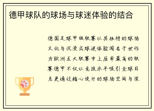 德甲球队的球场与球迷体验的结合